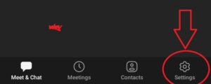 zoom app settings